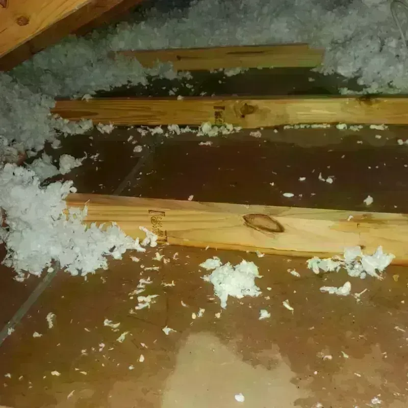 Attic Water Damage in Bremen, GA