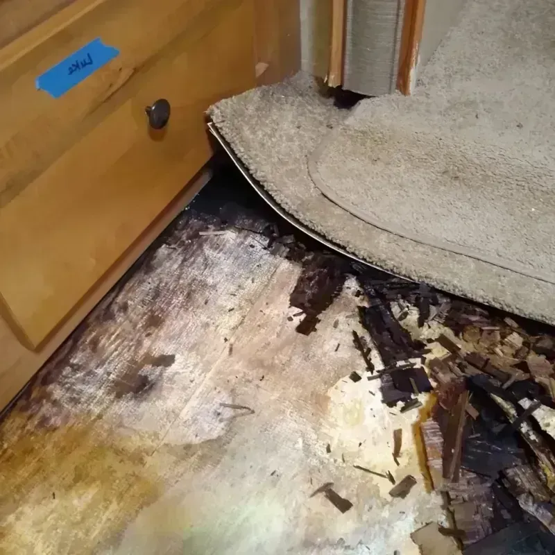 Wood Floor Water Damage in Bremen, GA